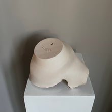 Load image into Gallery viewer, Raw Balance 02