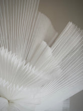 Load image into Gallery viewer, Elusive 05.