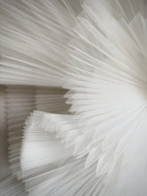 Load image into Gallery viewer, Elusive 05.