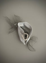 Load image into Gallery viewer, Disintegration