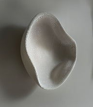 Load image into Gallery viewer, Inception of Disintegration