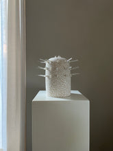 Load image into Gallery viewer, Collision