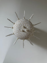 Load image into Gallery viewer, Collision