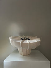 Load image into Gallery viewer, Solace