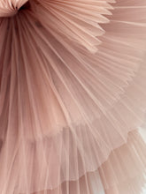 Load image into Gallery viewer, Elusive BLUSH
