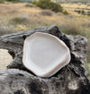 Organic dish 02