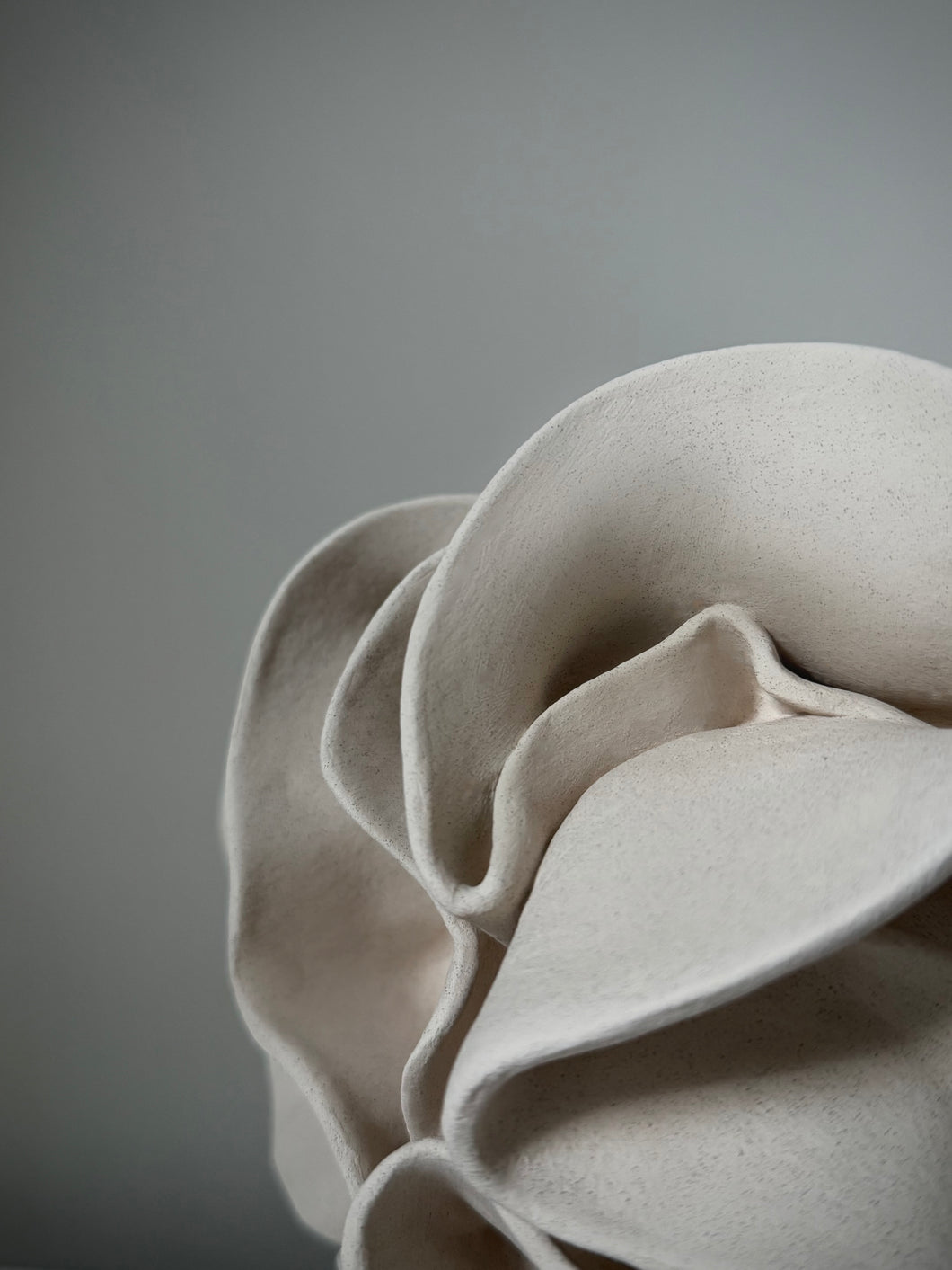 Ruffle