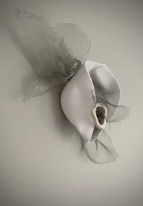 Disintegration