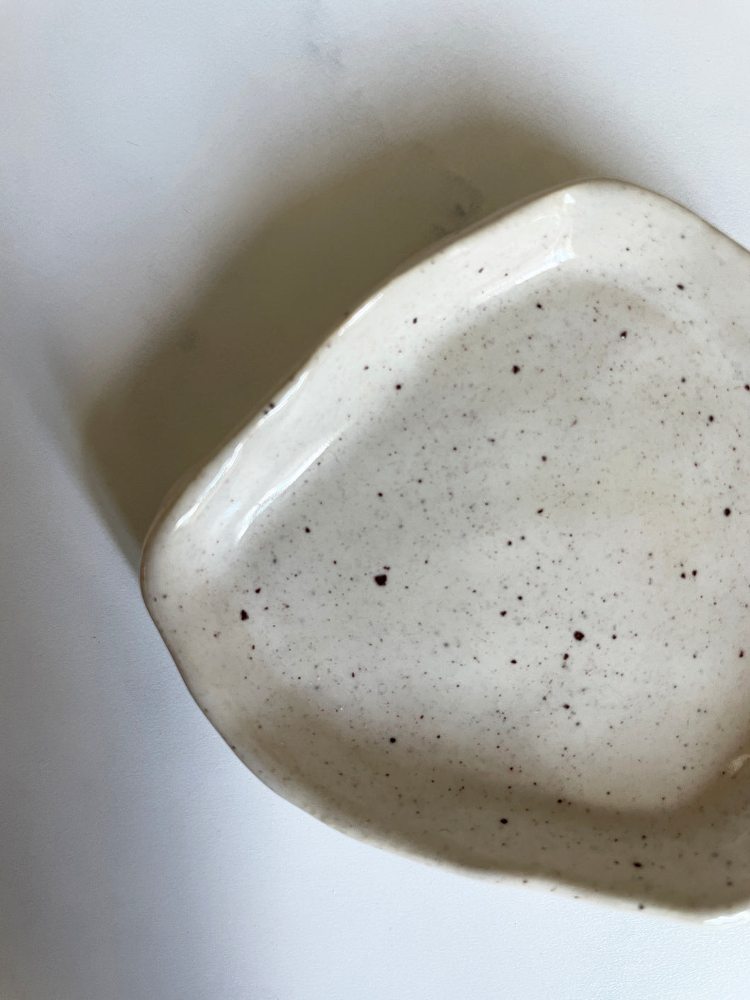 Organic dish 03